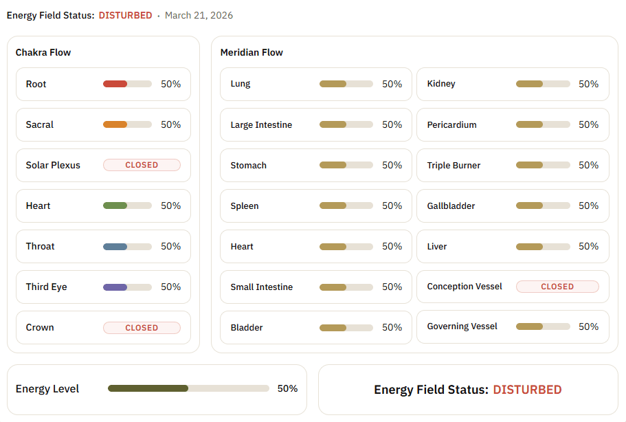 Overview of the Meridian portal showing chakra flow, meridian flow, energy level, and field status